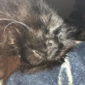 Meet your Posher, Bobbi jo